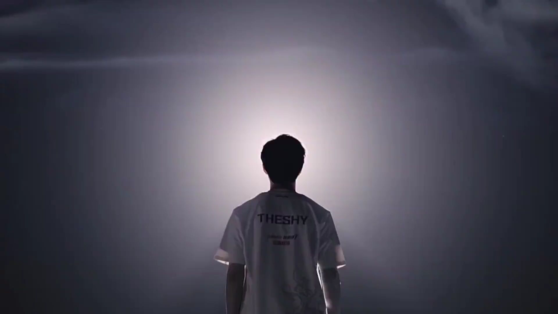 独木难支 独木难支