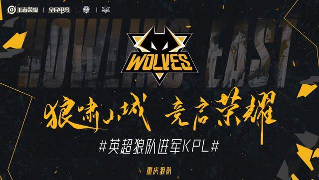这一机制 这一机制